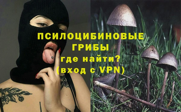 индика Алексин