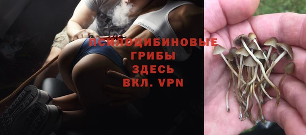 spice Алзамай
