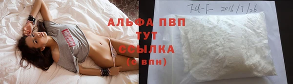 индика Алексин