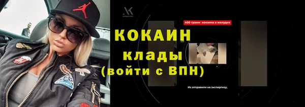 индика Алексин