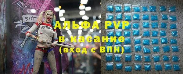 индика Алексин