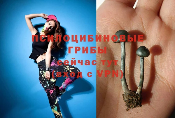 spice Алзамай