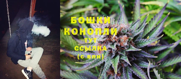 spice Алзамай