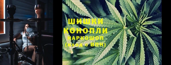 ГАЛЛЮЦИНОГЕННЫЕ ГРИБЫ Навашино