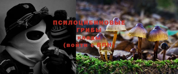 индика Алексин